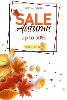 Autumn sale vector background. Autumn sale and discount text in red space with maple leaves in white textured background for fall season marketing promotion. Vector illustration Vertical view.