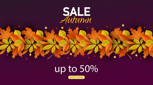 Autumn sale vector background. Autumn sale and discount text in red space with maple leaves in white textured background for fall season marketing promotion. Vector illustration.