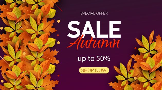 Autumn Sale Background with falling leaves, Web Banner, shopping sale or seasonal poster, Postcard and Invitation card. Vector illustration.