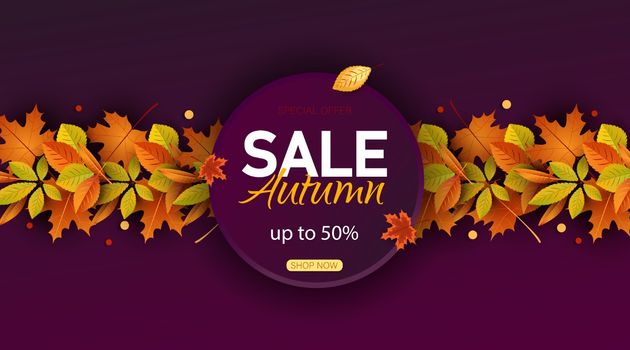 Autumn sale vector background. Autumn sale and discount text in red space with maple leaves in white textured background for fall season marketing promotion. Vector illustration Vertical view.