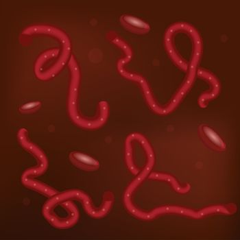 Ebola virus in blood set 3D, realistic style. Microorganism macro view. Vector illustration.