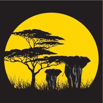 vector illustration of wild elephants family in African sunset savanna with trees.