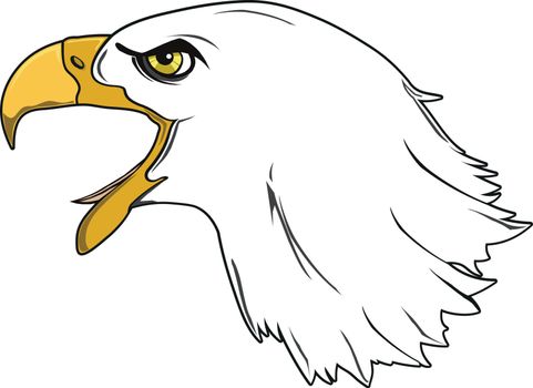 A large bird of prey eagle