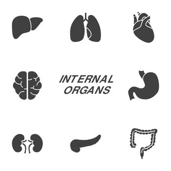 Internal Organs Vector Icons Set. Glyph Related Icons, Sign and Symbols in Flat Design Medicine and Health Care with Elements for Mobile Concepts and Web Apps. Collection Infographic Logo, Pictogram