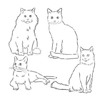 Cats set, vector illustration, hand-drawn cute fluffy cats.