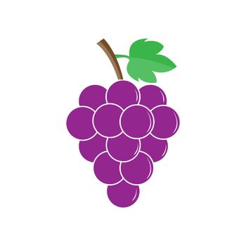 Bunch of grapes, color image, simple flat design