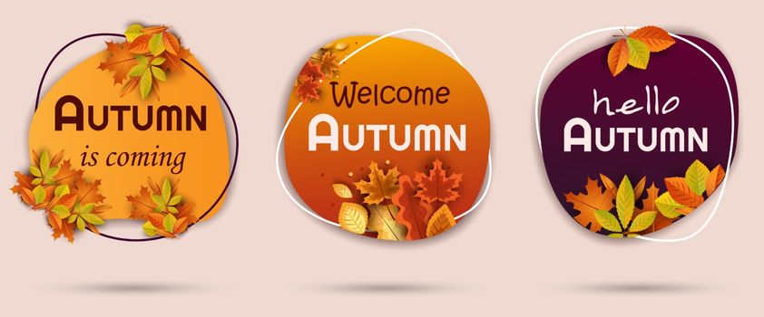 Vector design set of banners for autumn season bright autumn leaves. Collection for seasonal template, flyer, poster, card, label