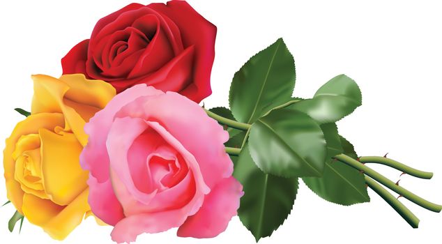 Beautiful bouquet of pink roses with pink ribbon. Isolated on white background.