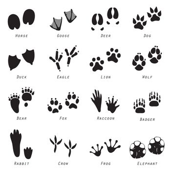 Set of Animal Spoor Footprint element Icon Vector illustration