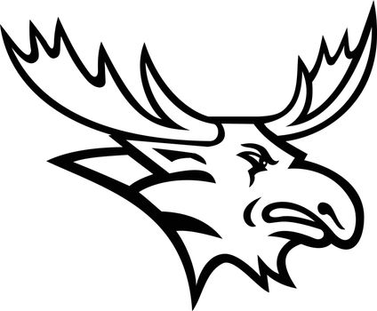 Black and white mascot illustration of head of a bull moose or elk, the largest extant species in deer family, with broad, flat antlers or palmate viewed from side on isolated background in retro style.