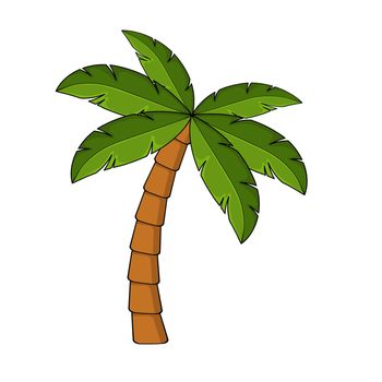 Palm tree cartoon isolated on white. Single palm clipart. Template for poster or postcard. Graphic element for tropical, exotic illustration. One high coco palmtree for summertime drawing.