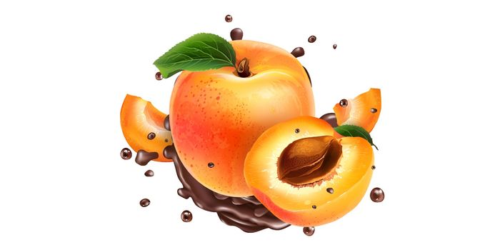 Whole and sliced apricots in chocolate splashes on a white background. Realistic vector illustration.