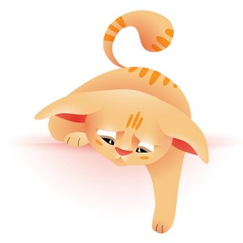 Cute kitten with orange spots hanging his paw down. Little cat with on white background. Vector eps10 format.