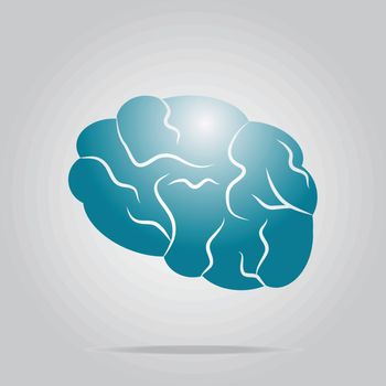 Brain icon, sign vector illustration