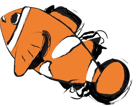 Clownfish drawing with ink on white background, vector drawing image