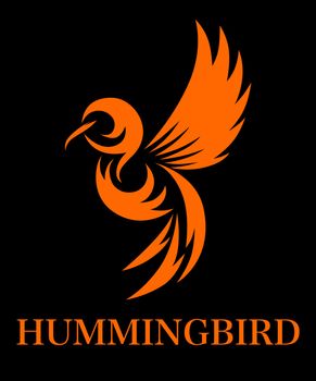 Orange line art Vector illustration on a white background of flying hummingbird. Suitable for making logos