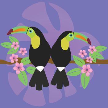 A cute couple of keel billed toucans sitting together on a branch. Their backs touch. In the background are monstera leafs and pink blossom flowers. Tropical picture.