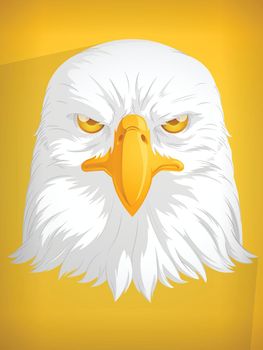 Eagle Head Hawk Falcon Cartoon Front View Closeup Vector Drawing