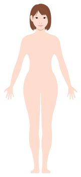 Standing woman's  nude body silhouette / outline shape vector  illustration