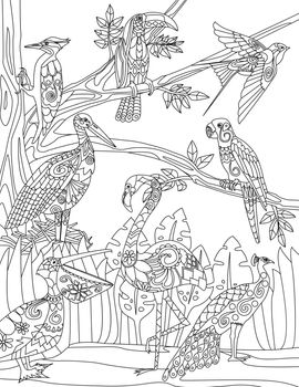 Outline illustration Flamingo with peackock woodpecker, pelican, tropical birds