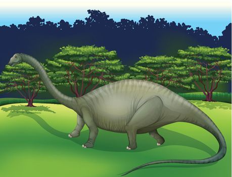 Illustration showing the Diplodocus