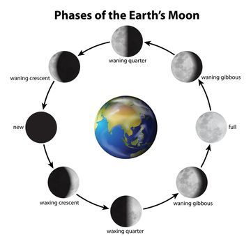 Illustration showing the phases of the Moon