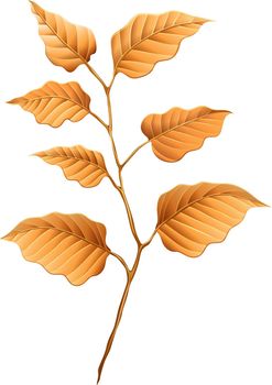 Illustration of the brown leaves on a white background
