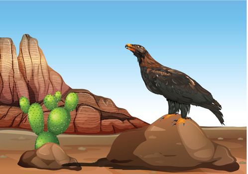 Illustration of an eagle