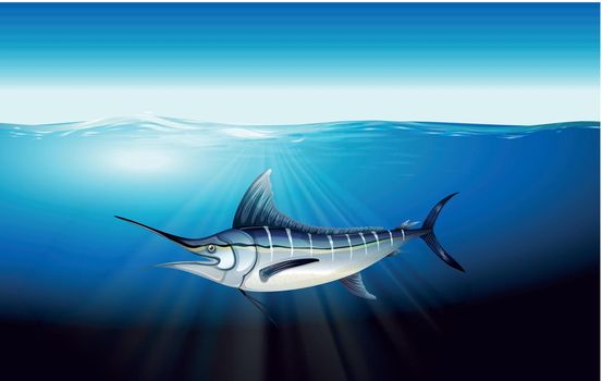 Illustration of a marlin