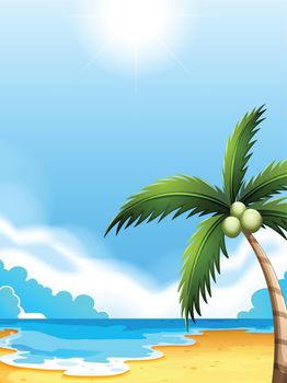 Illustration of a beach with a coconut tree