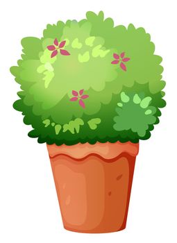 Illustration of a pot with a green plant on a white background