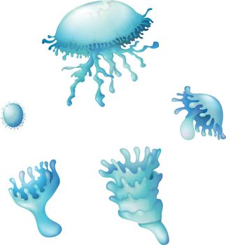 Illustration showing the Jellyfishes on a white background