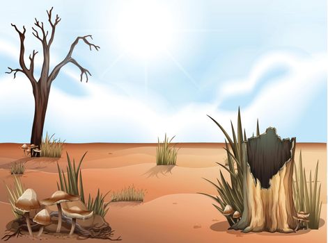 Illustration of a desert