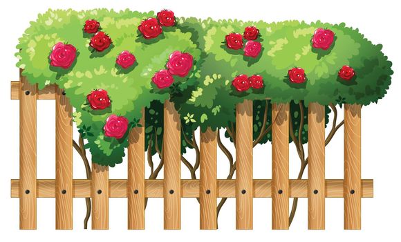 Illustration of a fence with flowering plants on a white background