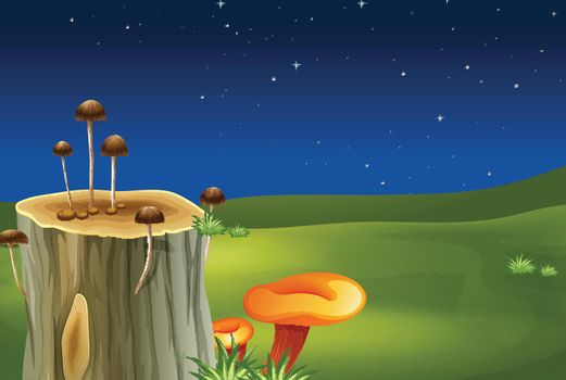 Illustration of a stump with mushrooms