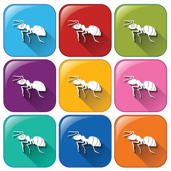 Illustration of the ant icons on a white background