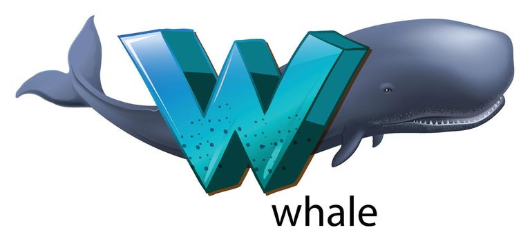 Illustration of a letter W for whale on a white background