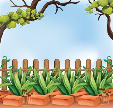 Illustration of a backyard with a fence