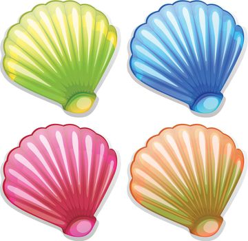 Illustration of the colourful shells on a white background