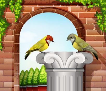 Two birds near the stonewall