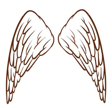 Illustration of an angel's wings on a white background