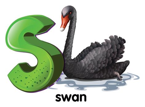 Illustration of a letter S for swan on a white background