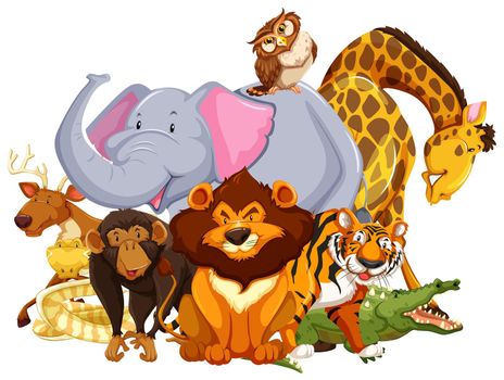 Group of wild animals on a white background