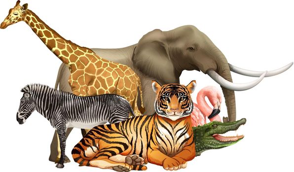 Different kind of wildlife animals