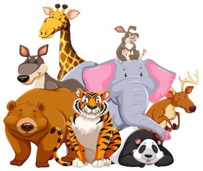 Animals characters on white illustration