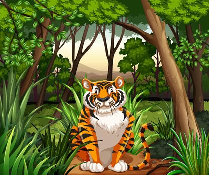 Tiger sitting in a jungle