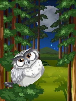 White owl sitting in the forest under full moon and stars