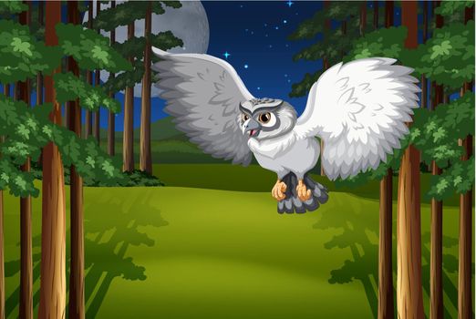 Poster of a white owl flying under full moon and stars
