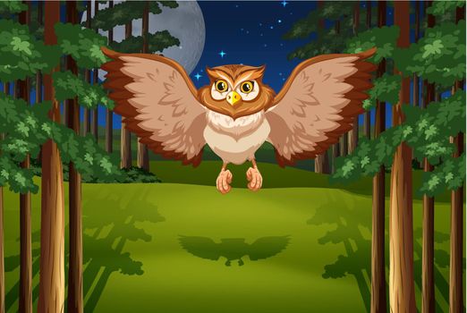 Poster of an owl flying in the jungle under full moon and stars
