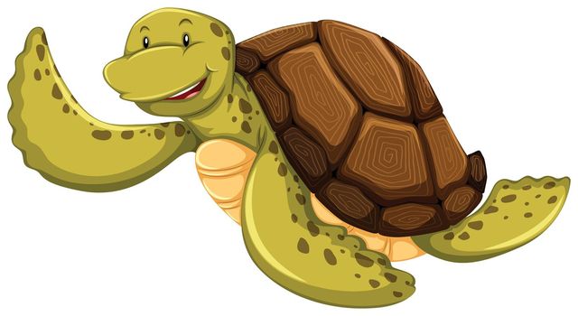 Smiling turtle on a white background